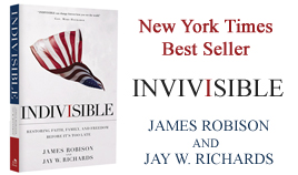 Indivisible Book
